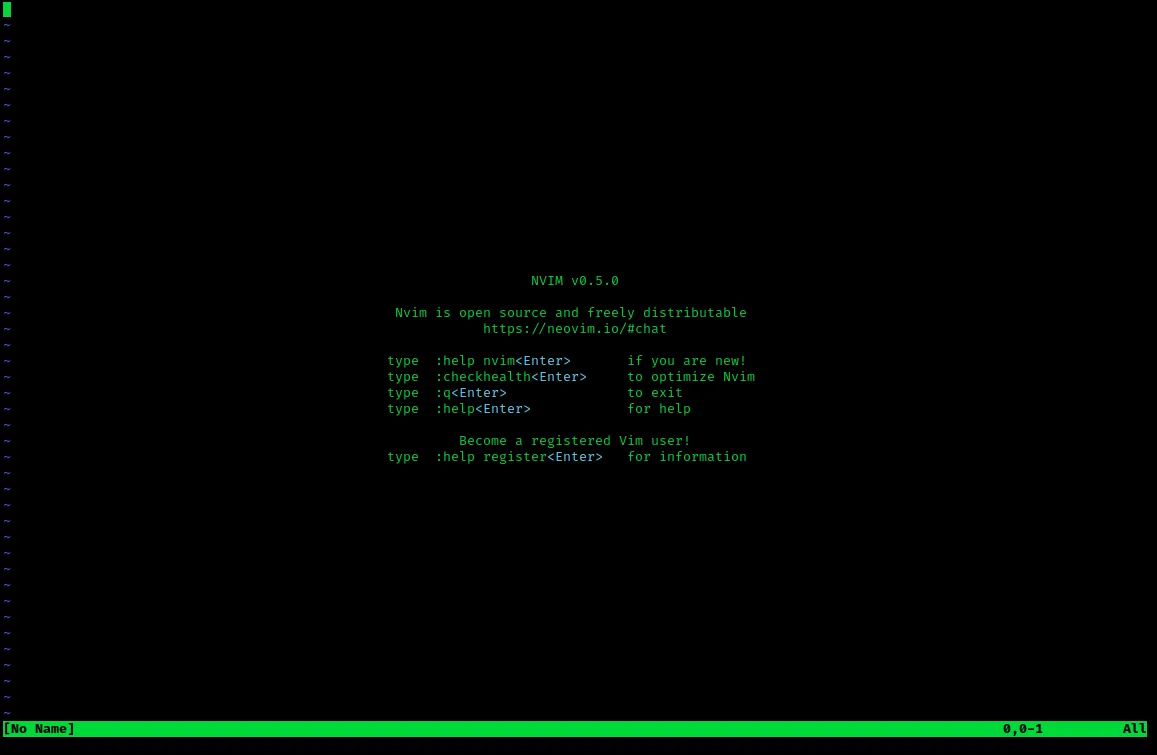 Neovim's start screen in a terminal